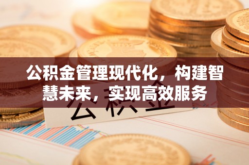 宁乡公积金管理现代化，构建智慧未来，实现高效服务