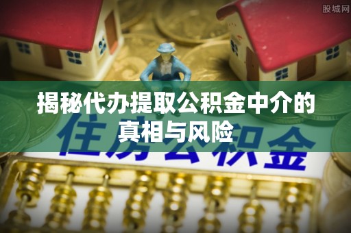 宁乡揭秘代办提取公积金中介的真相与风险