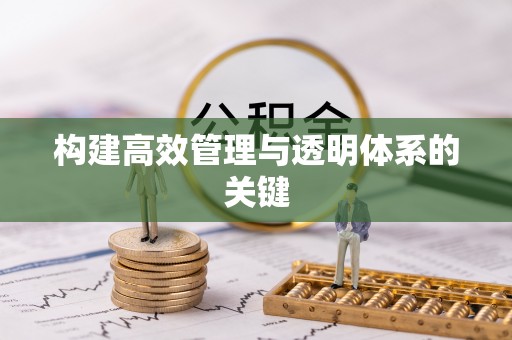 宁乡构建高效管理与透明体系的关键