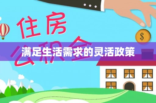 宁乡满足生活需求的灵活政策