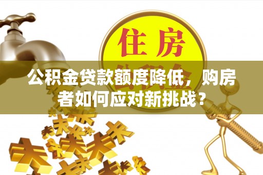 宁乡公积金贷款额度降低，购房者如何应对新挑战？