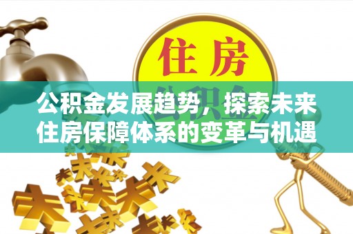 宁乡公积金发展趋势，探索未来住房保障体系的变革与机遇