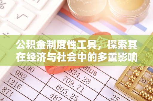 宁乡公积金制度性工具，探索其在经济与社会中的多重影响