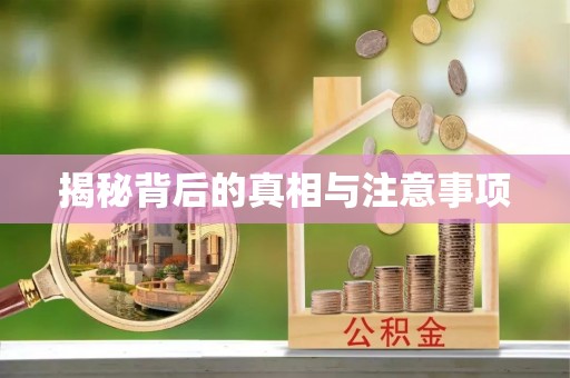 宁乡揭秘背后的真相与注意事项