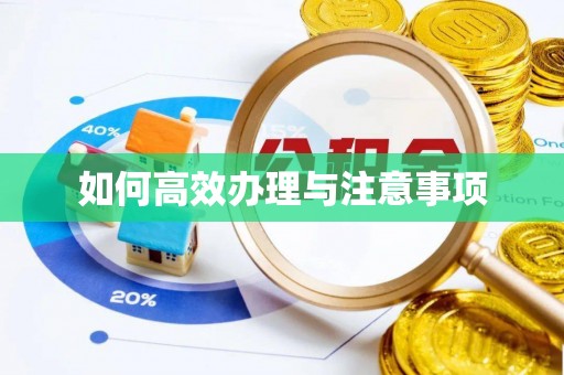 宁乡如何高效办理与注意事项