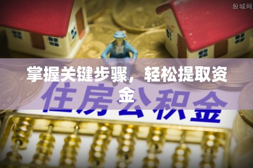 宁乡掌握关键步骤，轻松提取资金