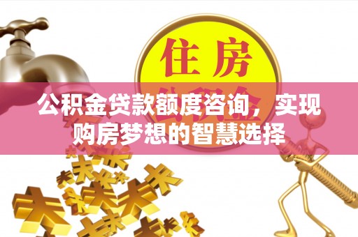 宁乡公积金贷款额度咨询，实现购房梦想的智慧选择
