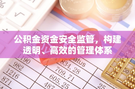 宁乡公积金资金安全监管，构建透明、高效的管理体系