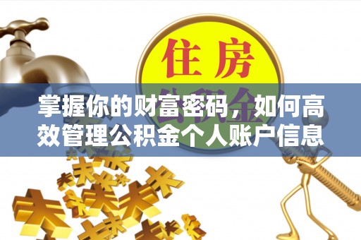 宁乡掌握你的财富密码，如何高效管理公积金个人账户信息