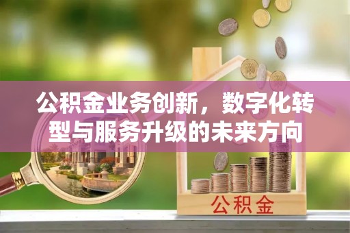 宁乡公积金业务创新，数字化转型与服务升级的未来方向