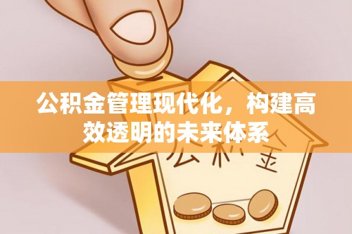 宁乡公积金管理现代化，构建高效透明的未来体系