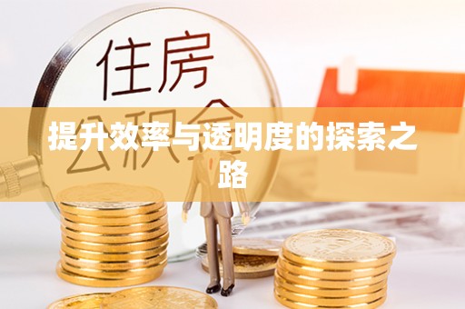 宁乡提升效率与透明度的探索之路
