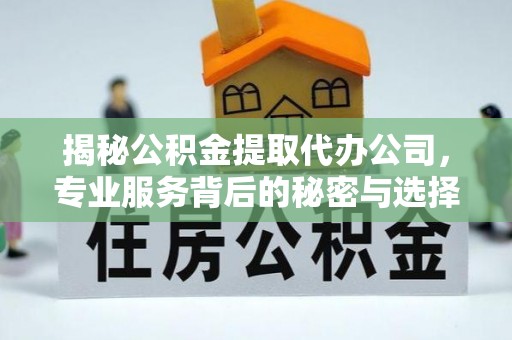 宁乡揭秘公积金提取代办公司，专业服务背后的秘密与选择指南