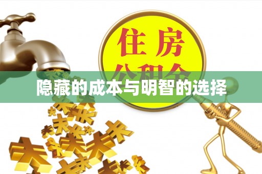 宁乡隐藏的成本与明智的选择