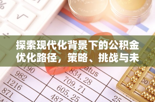 宁乡探索现代化背景下的公积金优化路径，策略、挑战与未来展望