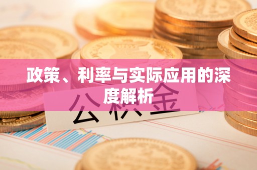 宁乡政策、利率与实际应用的深度解析