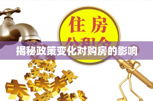 宁乡揭秘政策变化对购房的影响
