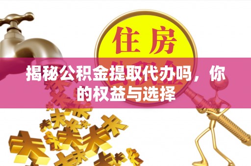 宁乡揭秘公积金提取代办吗，你的权益与选择