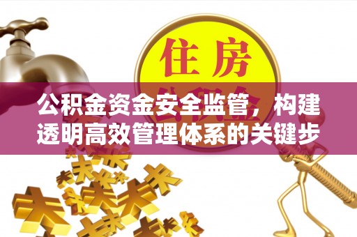 宁乡公积金资金安全监管，构建透明高效管理体系的关键步骤
