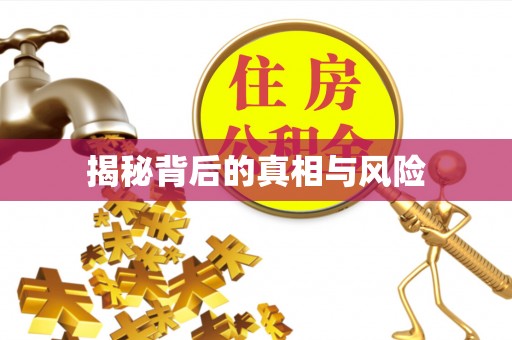 宁乡揭秘背后的真相与风险