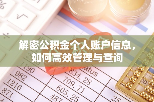 宁乡解密公积金个人账户信息，如何高效管理与查询