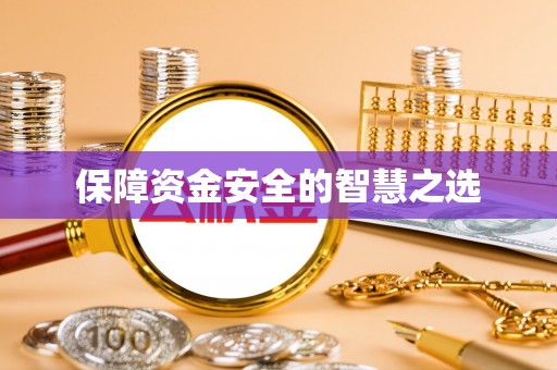 宁乡保障资金安全的智慧之选