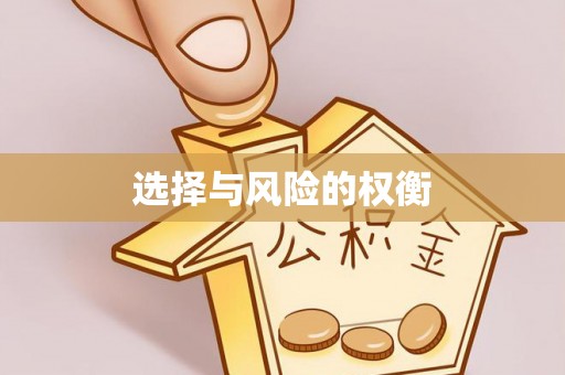 宁乡选择与风险的权衡