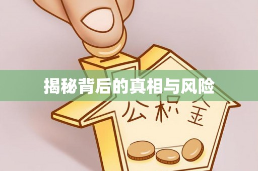宁乡揭秘背后的真相与风险