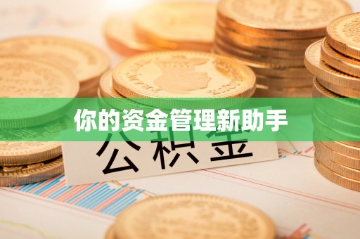 宁乡你的资金管理新助手