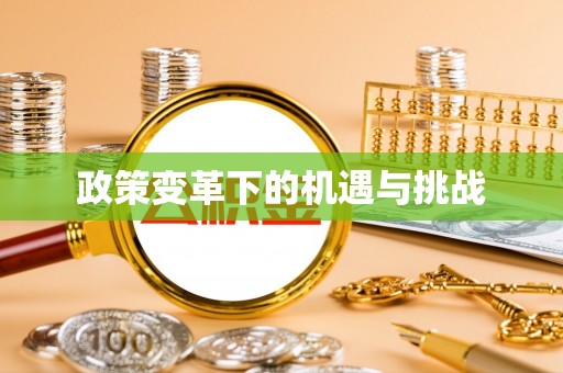 宁乡政策变革下的机遇与挑战