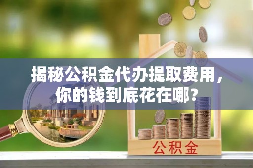 宁乡揭秘公积金代办提取费用，你的钱到底花在哪？