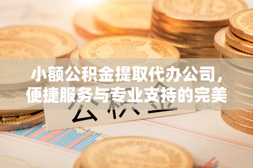 宁乡小额公积金提取代办公司，便捷服务与专业支持的完美结合