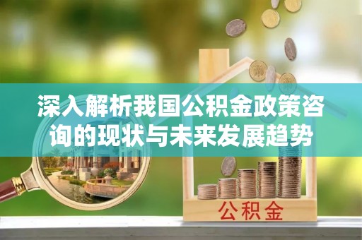 宁乡深入解析我国公积金政策咨询的现状与未来发展趋势