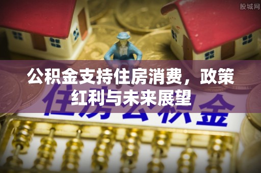 宁乡公积金支持住房消费，政策红利与未来展望