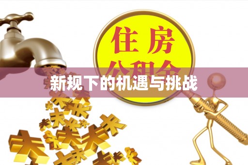 宁乡新规下的机遇与挑战