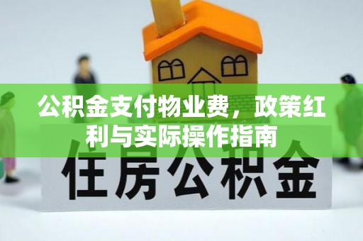 宁乡公积金支付物业费，政策红利与实际操作指南