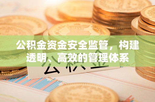 宁乡公积金资金安全监管，构建透明、高效的管理体系