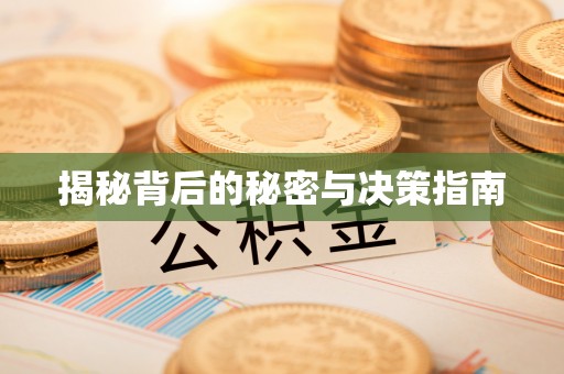 宁乡揭秘背后的秘密与决策指南