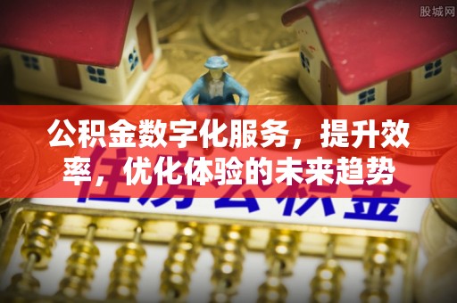 宁乡公积金数字化服务，提升效率，优化体验的未来趋势