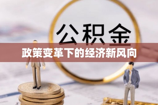 宁乡政策变革下的经济新风向