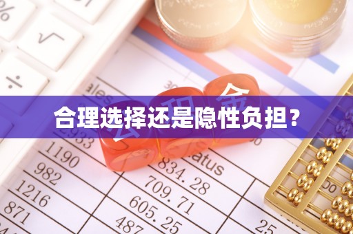 宁乡合理选择还是隐性负担？