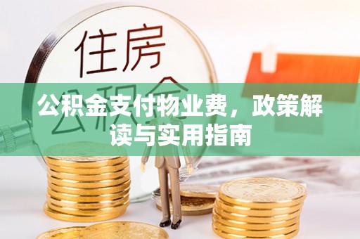 宁乡公积金支付物业费，政策解读与实用指南