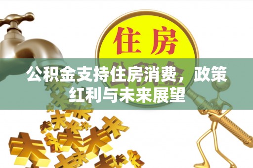 宁乡公积金支持住房消费，政策红利与未来展望