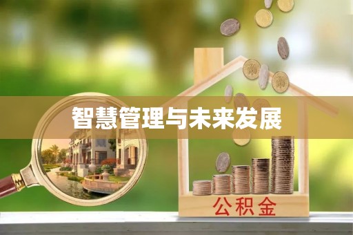 宁乡智慧管理与未来发展