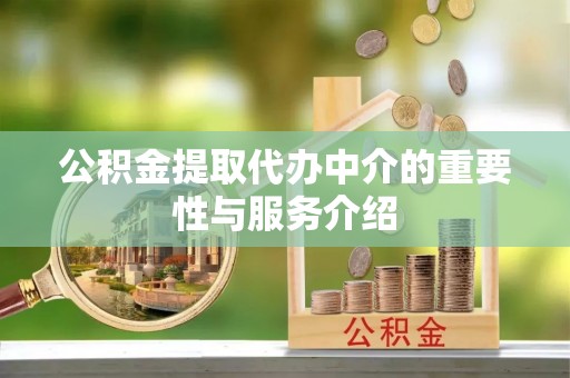 宁乡公积金提取代办中介的重要性与服务介绍