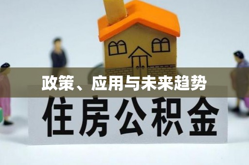 宁乡政策、应用与未来趋势