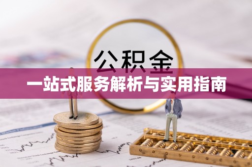宁乡一站式服务解析与实用指南