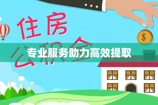 宁乡专业服务助力高效提取