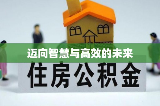 宁乡迈向智慧与高效的未来