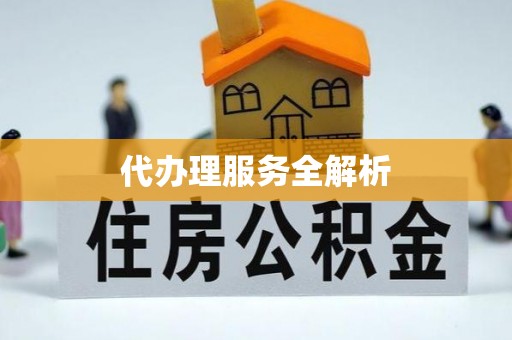 宁乡代办理服务全解析